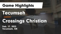 Tecumseh  vs Crossings Christian  Game Highlights - Feb. 17, 2023