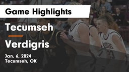 Tecumseh  vs Verdigris Game Highlights - Jan. 6, 2024