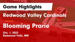 Redwood Valley Cardinals vs Blooming Prarie Game Highlights - Oct. 1, 2022