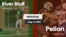 Matchup: River Bluff High vs. Pelion  2018