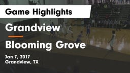 Grandview  vs Blooming Grove  Game Highlights - Jan 7, 2017