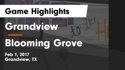 Grandview  vs Blooming Grove  Game Highlights - Feb 1, 2017