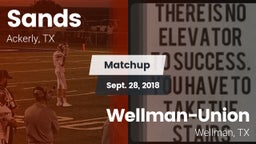 Matchup: Sands vs. Wellman-Union  2018