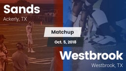 Matchup: Sands vs. Westbrook  2018