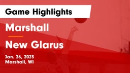 Marshall  vs New Glarus  Game Highlights - Jan. 26, 2023