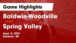 Baldwin-Woodville  vs Spring Valley Game Highlights - Sept. 8, 2022