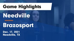 Needville  vs Brazosport  Game Highlights - Dec. 17, 2021