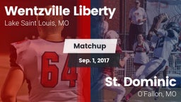 Matchup: Wentzville Liberty vs. St. Dominic  2016