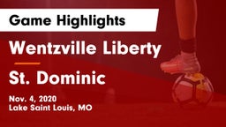 Wentzville Liberty  vs St. Dominic  Game Highlights - Nov. 4, 2020