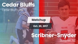 Matchup: Cedar Bluffs High vs. Scribner-Snyder  2017