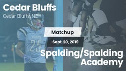 Matchup: Cedar Bluffs High vs. Spalding/Spalding Academy 2019