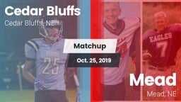 Matchup: Cedar Bluffs High vs. Mead  2019