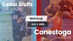Matchup: Cedar Bluffs High vs. Conestoga  2020
