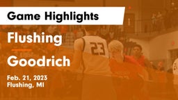 Flushing  vs Goodrich  Game Highlights - Feb. 21, 2023