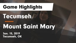 Tecumseh  vs Mount Saint Mary Game Highlights - Jan. 15, 2019