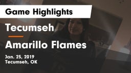 Tecumseh  vs Amarillo Flames Game Highlights - Jan. 25, 2019