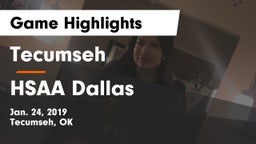 Tecumseh  vs HSAA Dallas Game Highlights - Jan. 24, 2019