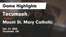 Tecumseh  vs Mount St. Mary Catholic  Game Highlights - Jan. 21, 2020