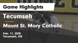 Tecumseh  vs Mount St. Mary Catholic  Game Highlights - Feb. 11, 2020