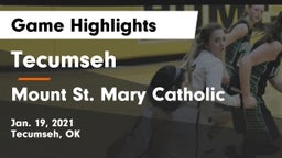 Tecumseh  vs Mount St. Mary Catholic  Game Highlights - Jan. 19, 2021