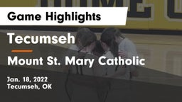 Tecumseh  vs Mount St. Mary Catholic  Game Highlights - Jan. 18, 2022