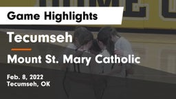 Tecumseh  vs Mount St. Mary Catholic  Game Highlights - Feb. 8, 2022