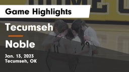 Tecumseh  vs Noble  Game Highlights - Jan. 13, 2023