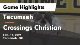 Tecumseh  vs Crossings Christian  Game Highlights - Feb. 17, 2023