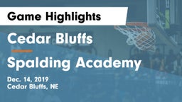 Cedar Bluffs  vs Spalding Academy  Game Highlights - Dec. 14, 2019