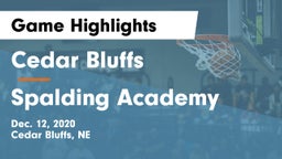 Cedar Bluffs  vs Spalding Academy  Game Highlights - Dec. 12, 2020