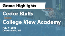 Cedar Bluffs  vs College View Academy Game Highlights - Feb. 9, 2021