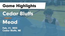 Cedar Bluffs  vs Mead  Game Highlights - Feb. 21, 2023