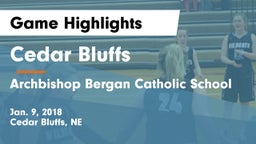 Cedar Bluffs  vs Archbishop Bergan Catholic School Game Highlights - Jan. 9, 2018