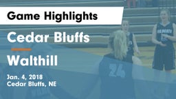 Cedar Bluffs  vs Walthill  Game Highlights - Jan. 4, 2018