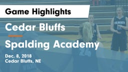 Cedar Bluffs  vs Spalding Academy  Game Highlights - Dec. 8, 2018