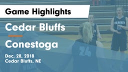 Cedar Bluffs  vs Conestoga  Game Highlights - Dec. 28, 2018