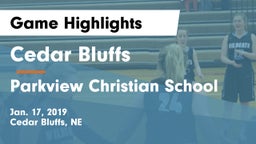 Cedar Bluffs  vs Parkview Christian School Game Highlights - Jan. 17, 2019