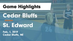 Cedar Bluffs  vs St. Edward Game Highlights - Feb. 1, 2019