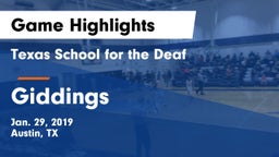 Texas School for the Deaf  vs Giddings  Game Highlights - Jan. 29, 2019