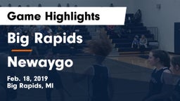 Big Rapids  vs Newaygo  Game Highlights - Feb. 18, 2019