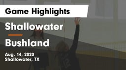 Shallowater  vs Bushland  Game Highlights - Aug. 14, 2020