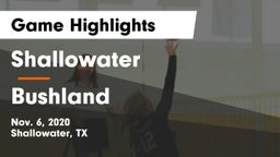Shallowater  vs Bushland  Game Highlights - Nov. 6, 2020