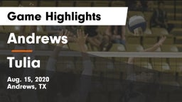 Andrews  vs Tulia  Game Highlights - Aug. 15, 2020