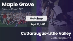 Matchup: Maple Grove vs. Cattaraugus-Little Valley  2018