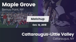 Matchup: Maple Grove vs. Cattaraugus-Little Valley  2018