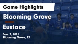 Blooming Grove  vs Eustace  Game Highlights - Jan. 2, 2021