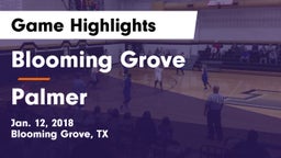 Blooming Grove  vs Palmer Game Highlights - Jan. 12, 2018
