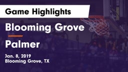 Blooming Grove  vs Palmer  Game Highlights - Jan. 8, 2019