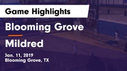 Blooming Grove  vs Mildred  Game Highlights - Jan. 11, 2019