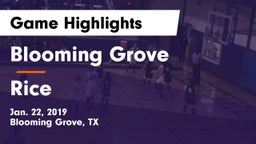 Blooming Grove  vs Rice  Game Highlights - Jan. 22, 2019